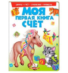 Счёт (Моя первая книга)