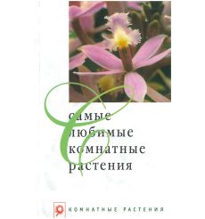Самые любимые комнатные растения