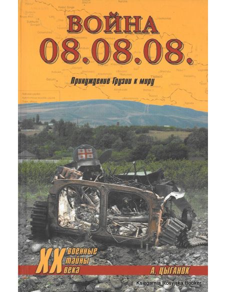 Война 08.08.08. Принуждение Грузии к миру. А. Цыганок