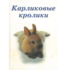 Карликовые кролики