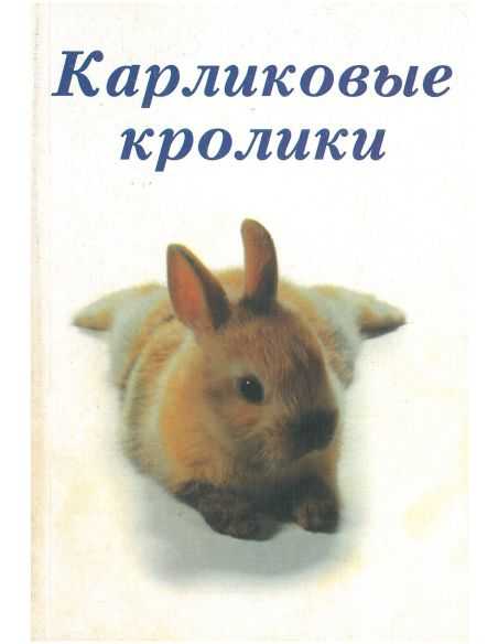 Карликовые кролики