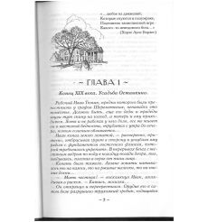 Портрет кавалера в голубом камзоле. Наталья Солнцева 2