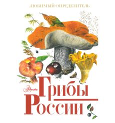 Грибы России. Любимый определитель