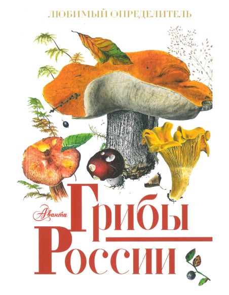 Грибы России. Любимый определитель