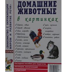 Домашние животные в картинках