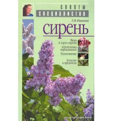 Сирень