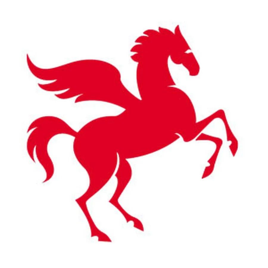 Pegasus Publishing House